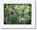 08-StLucia - 021